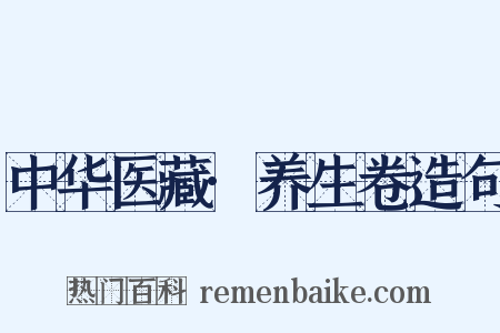 中华医藏·养生卷造句是什么意思的图片